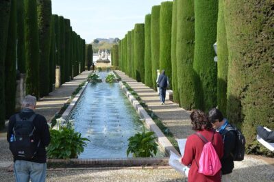 Cordoba Monuments Intensive Tour in English Tickets included - Meeting point at Av. del Alcázar and how you stay connected to the group
