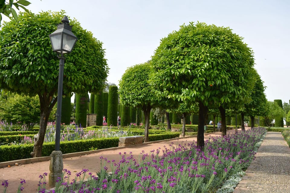 Cordoba: Monuments Walking Tour - Price and Value: Is $66 a Smart Deal?