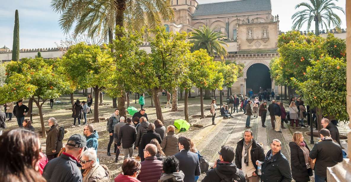 Cordoba: Monuments Walking Tour - Timing, Weather, and the Pace You Should Expect