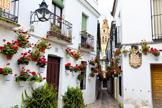 Cordoba Mosque-Cathedral & City Private Tour - The synagogue detail: pick the right slot or you’ll miss it