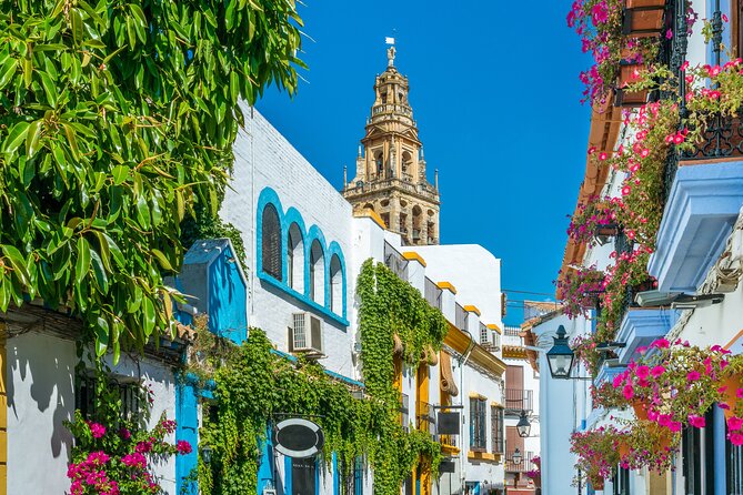 Cordoba Mosque-Cathedral & City Private Tour - Private pacing and flexibility: when time goes your way