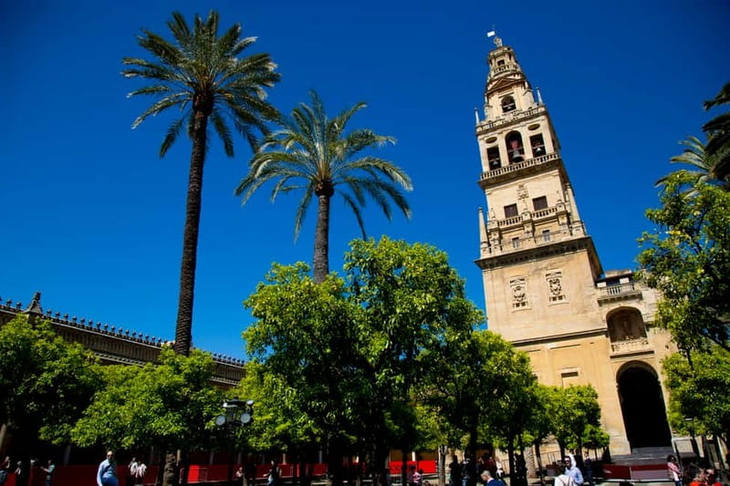 Córdoba: Mosque-Cathedral, Jewish Quarter and Alcázar Tour - Price and Value: Why $53 Can Make Sense Here
