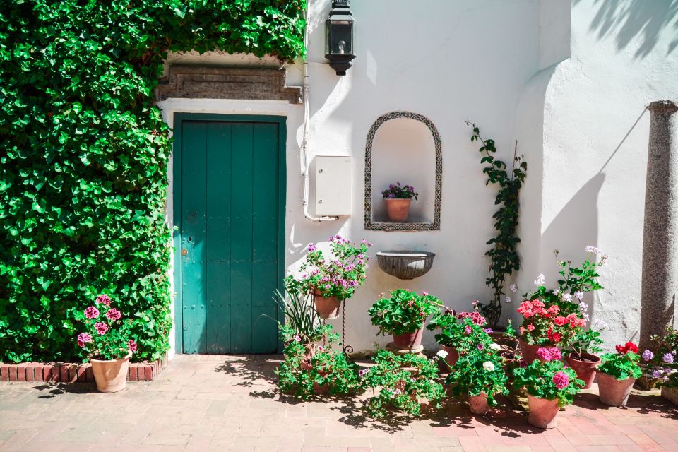 Cordoba: Patios and Viana Palace Tour - Why Palacio de Viana’s patios feel special in Cordoba