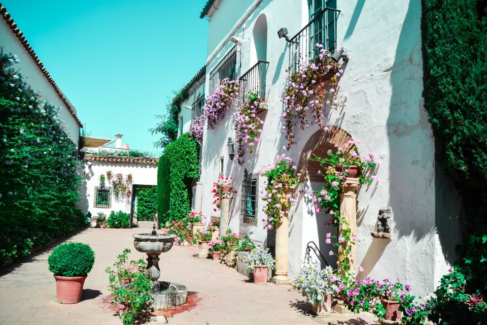 Cordoba: Patios and Viana Palace Tour - Patios and courtyards: the 2-hour walk through changing eras