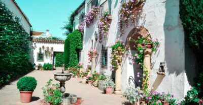 Cordoba: Patios and Viana Palace Tour - Meeting at Don Gome: what your first 10 minutes should look like