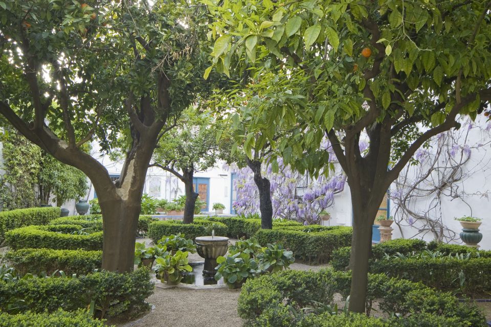 Córdoba: Viana Palace Gardens and Patios Entry Ticket - Why Palacio de Viana Feels Different From Other Córdoba Sights