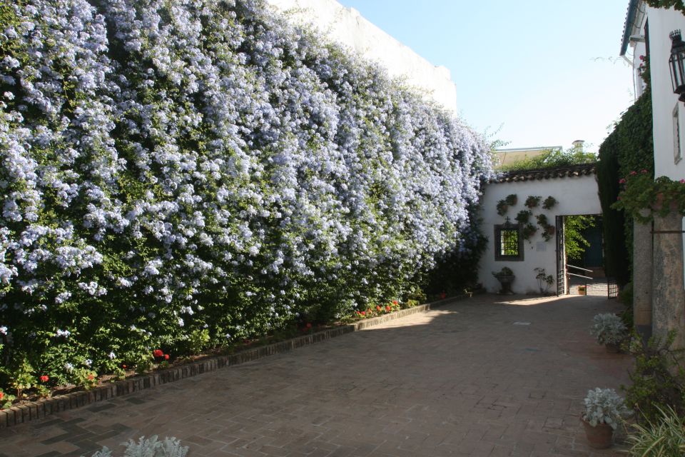 Córdoba: Viana Palace Gardens and Patios Entry Ticket - Entering the Courtyard Loop in Plaza de Don Gome