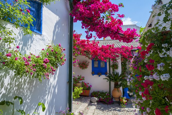 Cordoba's Authentic Patios: 2-Hour Tour with Tickets - Key highlights at a glance