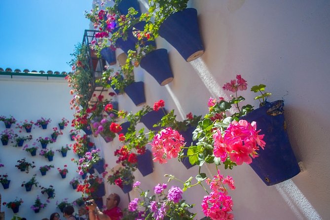 Cordoba's Authentic Patios: 2-Hour Tour with Tickets - Córdoba patios on a timer: what this tour is really good for