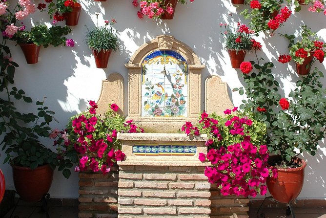 Cordoba's Authentic Patios: 2-Hour Tour with Tickets - The 5 patios in San Basilio: what to expect at each stop