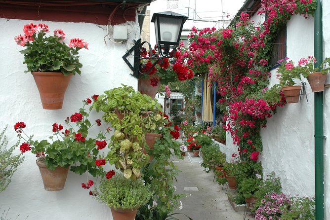 Cordoba's Authentic Patios: 2-Hour Tour with Tickets - The Alcázar Viejo walk: pace, crowd level, and group feel