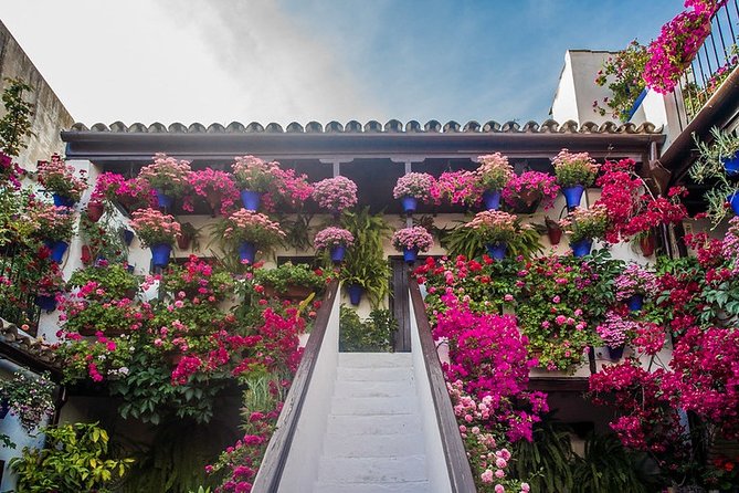 Cordoba's Authentic Patios: 2-Hour Tour with Tickets - Value for $21: what you’re actually buying