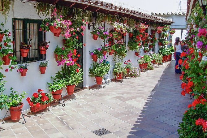 Cordoba's Authentic Patios: 2-Hour Tour with Tickets - Where you start (and why Plaza del Triunfo matters)