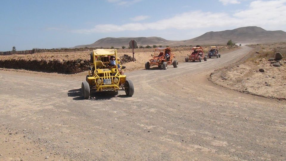 Corralejo: Buggy Safari Tour - Should you book the Corralejo Buggy Safari?