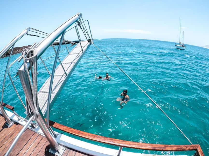 Corralejo: Snorkeling on Lobos Island & Return Ferry Ticket - Getting there: Naviera Nortour port and the meeting point you can’t miss
