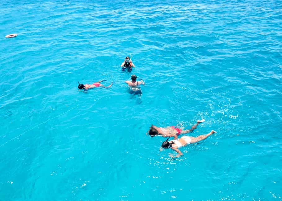 Corralejo: Snorkeling on Lobos Island & Return Ferry Ticket - Ferry to Lobos and the schedule that shapes your day