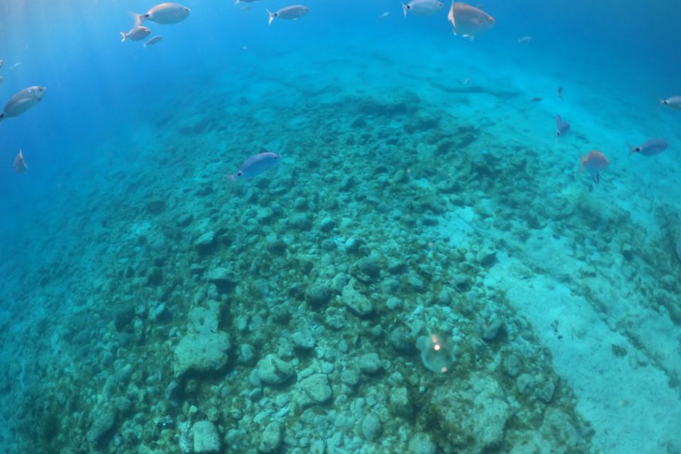 Corralejo: Snorkeling on Lobos Island & Return Ferry Ticket - Lobos Island on your own: La Concha, La Caldera, and the lighthouse