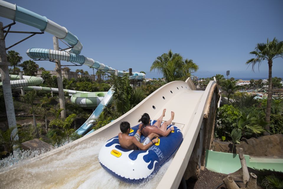 Costa Adeje: Aqualand Water Park Ticket with Dolphin Show - Dolphins at Aqualand: how the show fits into your day