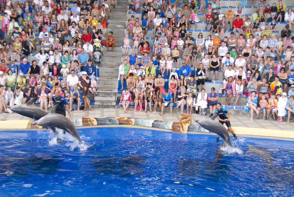 Costa Adeje: Aqualand Water Park Ticket with Dolphin Show - Money-smart planning: lockers, food prices, and what to bring