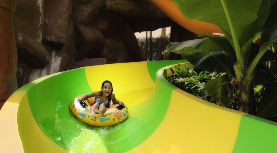 Costa Adeje: Aqualand Water Park Ticket with Dolphin Show - What the day feels like: queues, staff help, and safety