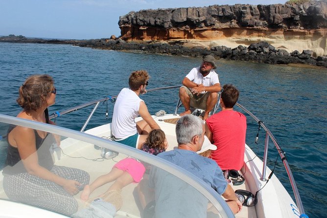 Costa Adeje | Cetacean sighting in Tenerife South - Key highlights before you go