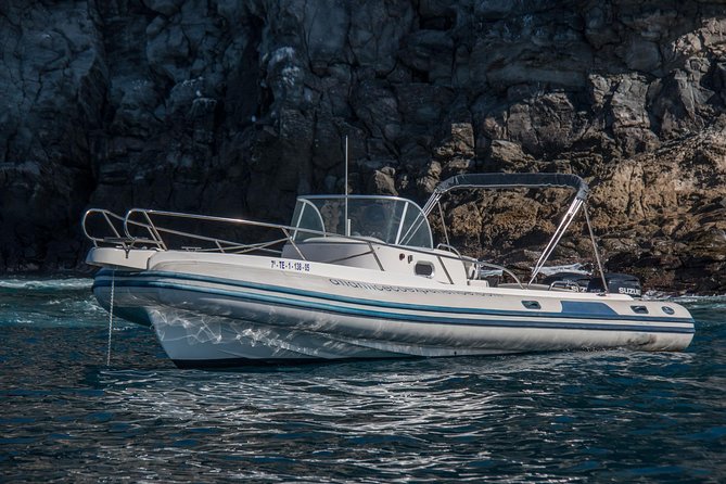 Costa Adeje | Cetacean sighting in Tenerife South - Who should book Atlantic Eco Experience in Tenerife South?