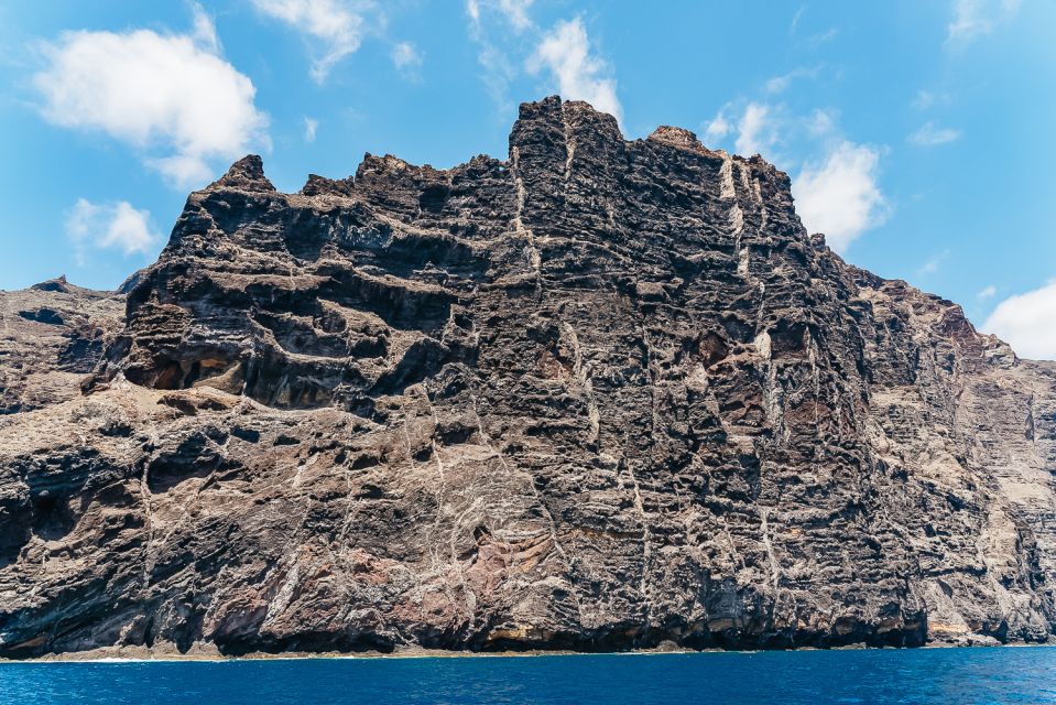 Costa Adeje: Masca and Los Gigantes Whale Watching Cruise - Pickup options: making it easy from southern Tenerife