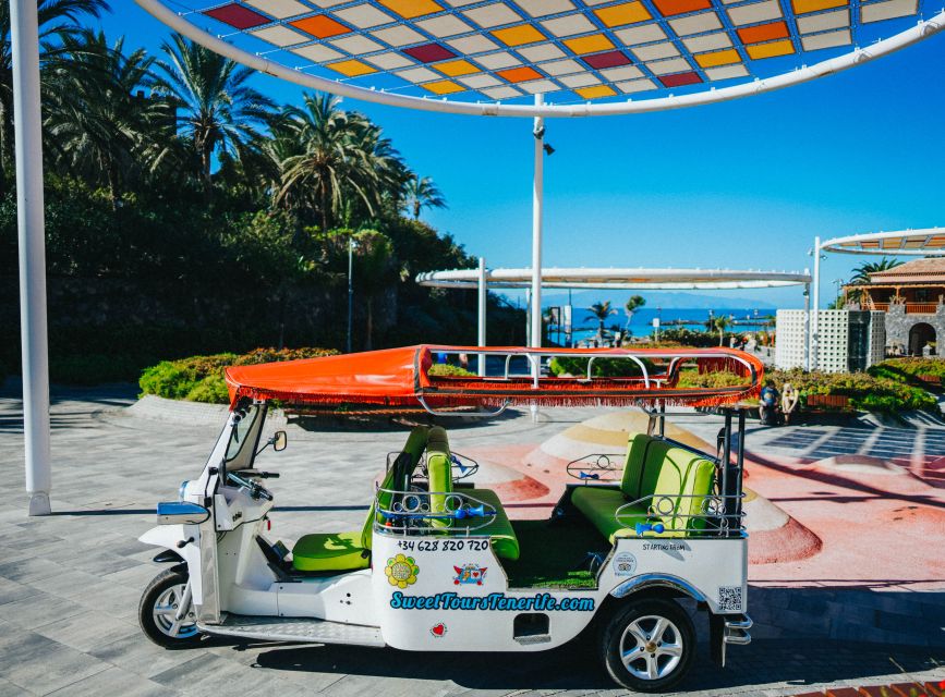 Costa Adeje: Tuk Tuk Tour - La Caleta Fisher Village: Where the Tour Turns From Sightseeing Into a Real Stop
