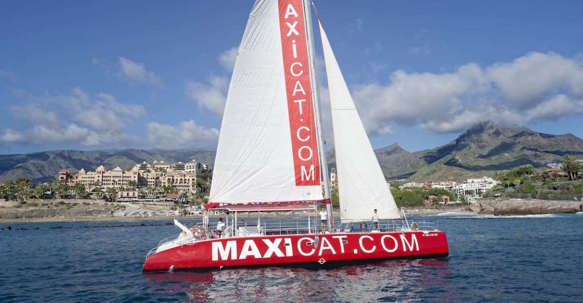 Costa Adeje: Whale and Dolphin Cruise with Food and Pickup - Key Things That Make MAXICAT Cruise Worth Your Time