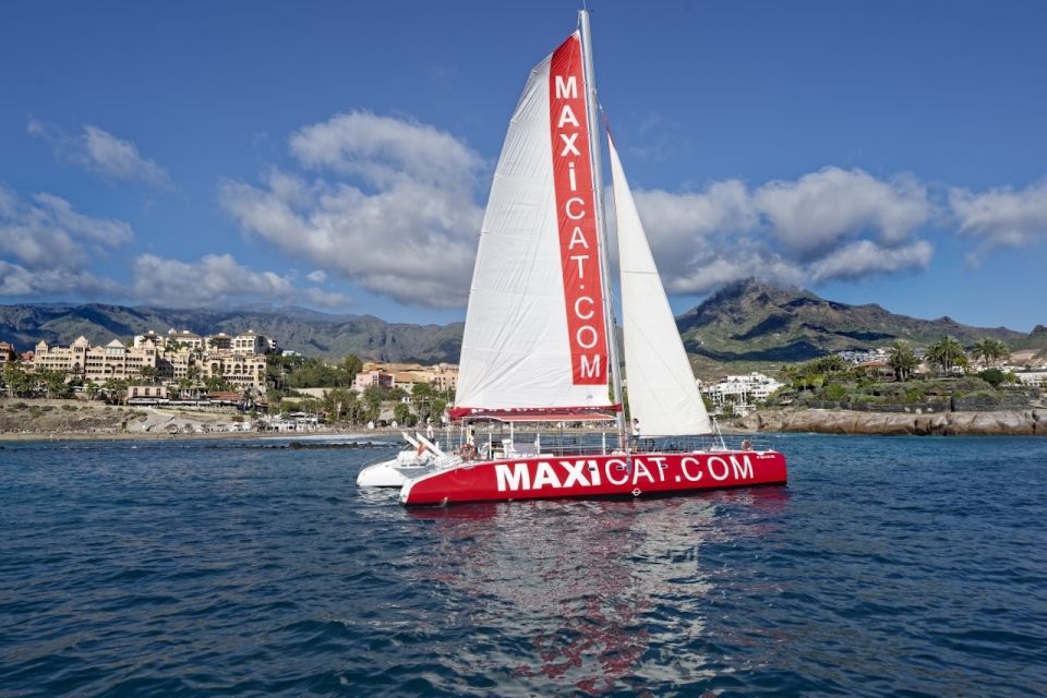Costa Adeje: Whale and Dolphin Cruise with Food and Pickup - Lunch and Unlimited Drinks: The Value Boost in the Middle