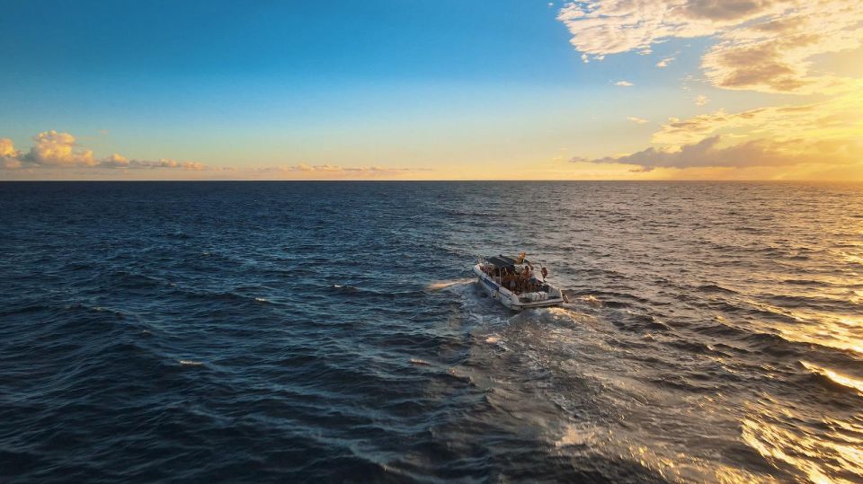 Costa Adeje: Whale and Dolphin-Watching Boat Excursion - Key Things You’ll Notice Right Away