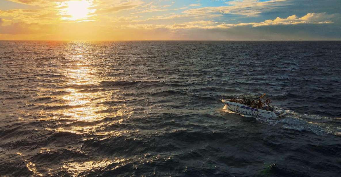 Costa Adeje: Whale and Dolphin-Watching Boat Excursion - Glass-Bottom Viewing: Not Just a Gimmick