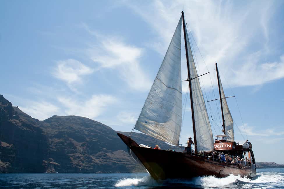 Costa Adeje: Whale & Dolphin Watching Cruise with Swim - The 2-hour heart of the itinerary (and what changes on longer options)