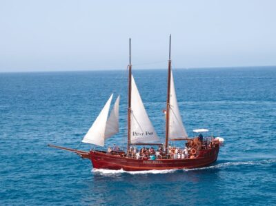Costa Adeje: Whale & Dolphin Watching Cruise with Swim - What marine life you might spot near Tenerife’s south coast