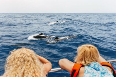 Costa Adeje: Whale Watching Catamaran Tour with Drinks - A catamaran ride that stays comfortable (even when the water doesn’t)