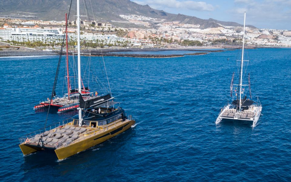Costa Adeje: Whale Watching Cruise - Live commentary and responsible viewing: how the crew keeps it worthwhile
