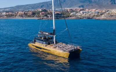 Costa Adeje: Whale Watching Cruise - Sailing the southwest coast: where the wildlife spotting game starts
