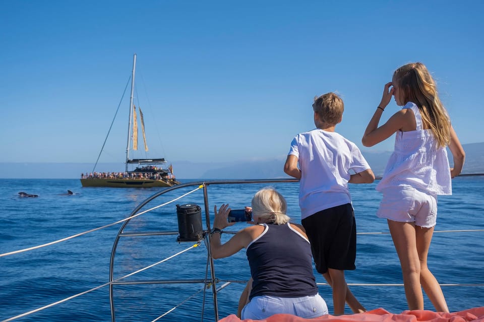 Costa Adeje: Whale Watching Cruise - Comfort on board: catamaran layout, motion, and who this fits best