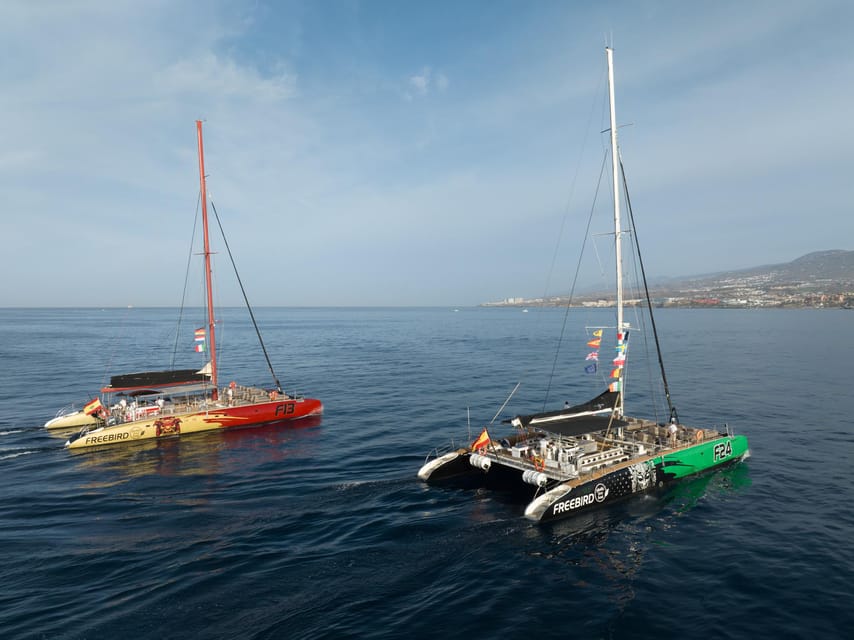 Costa Adeje: Whale Watching Cruise - Pickup and meeting points: the one area I’d double-check