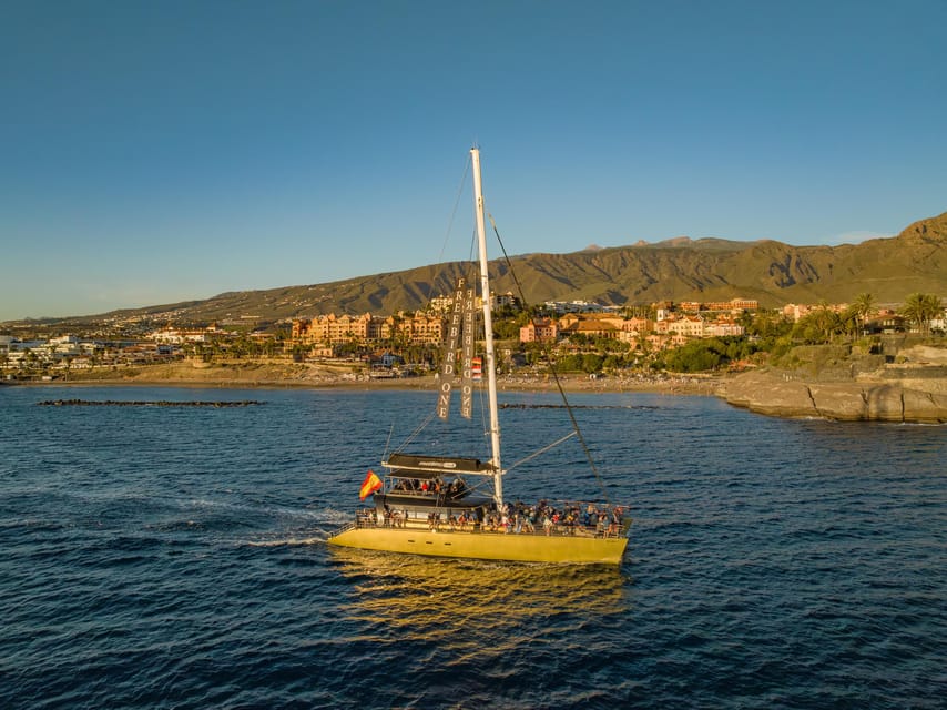 Costa Adeje: Whale Watching Cruise - Season, sightings, and how to set your expectations