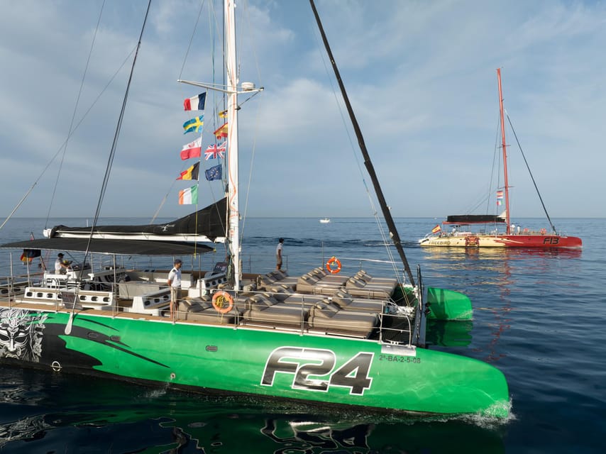 Costa Adeje: Whale Watching Cruise - Price and value: is $55 for 3 hours a fair deal?
