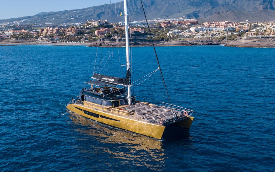 Costa Adeje: Whale Watching Cruise - Sailing the southwest coast: where the wildlife spotting game starts
