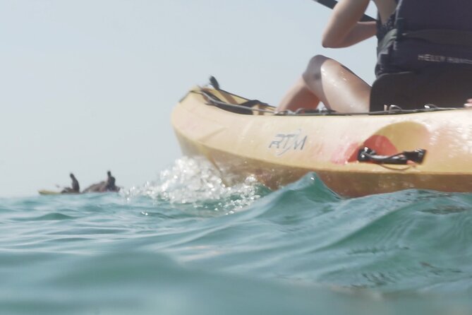 Costa Brava: Kayak, Snorkel, Photos, Lunch, Beach & Cliff Jump! - Costa Brava on the water: caves, coves, snorkeling, and cliff jumping
