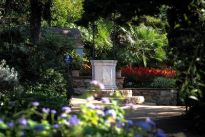 Costa Brava & Medieval Village Tour with Lunch - Marimurtra Botanical Gardens: cliff views that don’t require expert knowledge