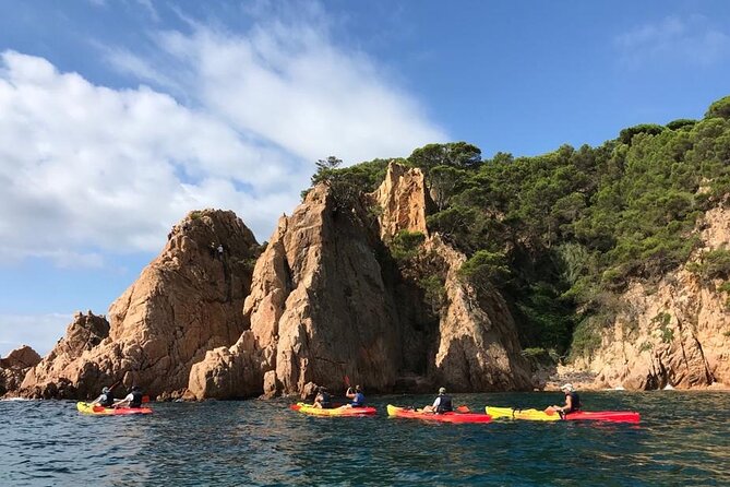 Costa Brava - Sant Feliu de Guíxols / Kayaking & Snorkelling Tour - Snorkel Stop in a Cove: Fish Below the Surface