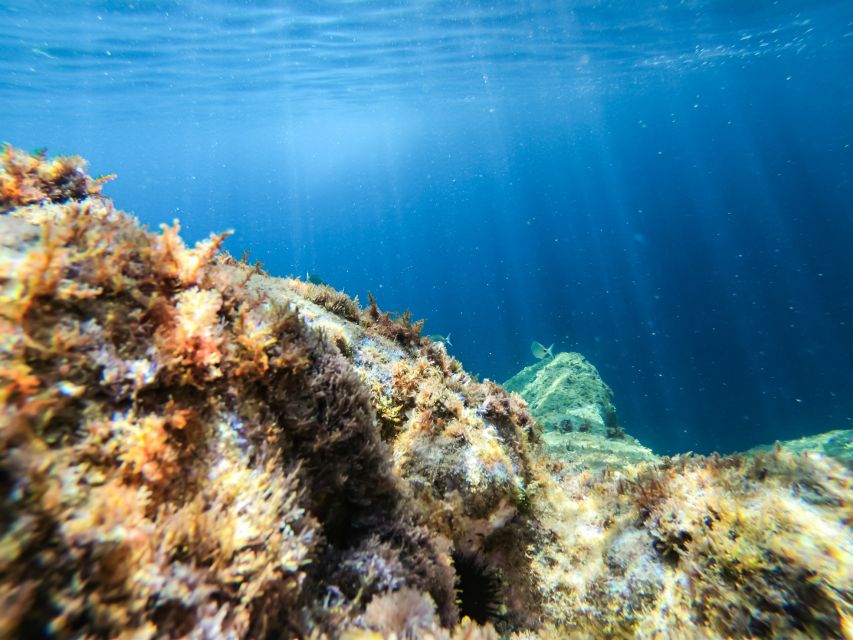 Costa Brava: Sea Caves Kayaking and Snorkeling Tour - Guides bring the coast to life (and keep you safe)