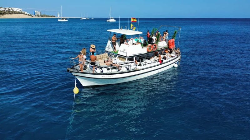 Costa Calma: Fuerteventura Dolphin Watching Boat Tour - Why the captain’s skill matters (and how speed changes the view)