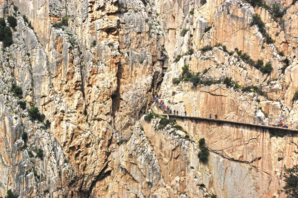 Costa del Sol: Caminito del Rey Guided Trip - Transportation on the Return: Shuttle Consideration