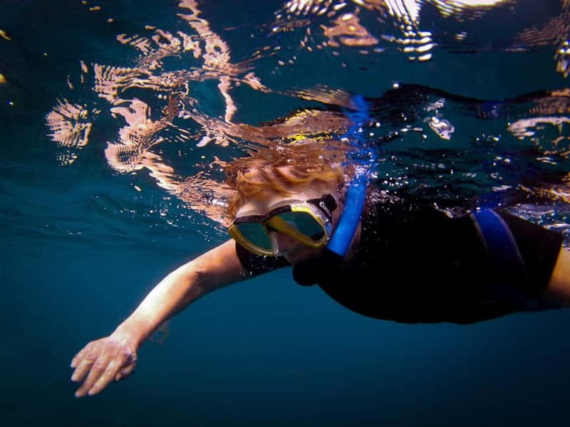 Costa Teguise: Guided 2-hour Snorkeling Tour for all levels - Photos and souvenirs: optional picture pack