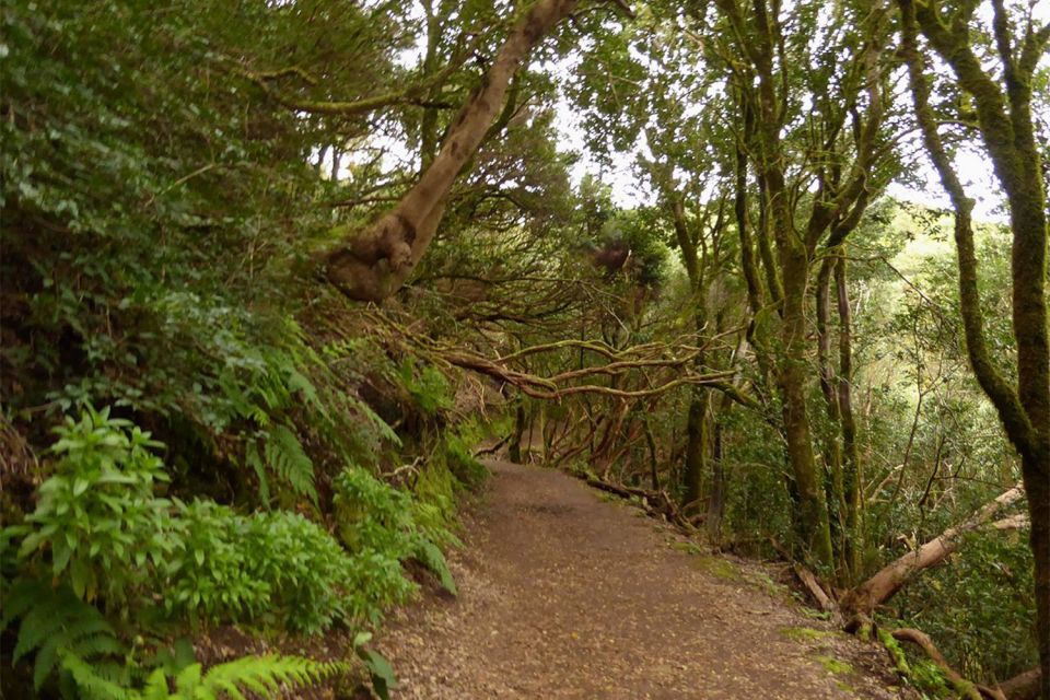 Cruz del Carmen: Hiking in Anaga with Local Food Products - Key highlights I’d plan around